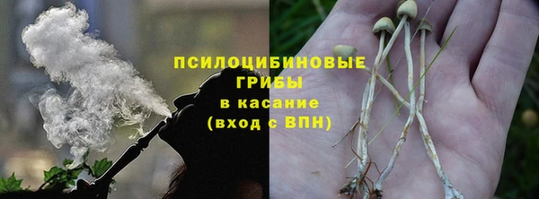 крисы Аркадак