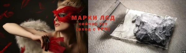 трава Ельня