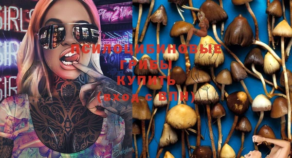 прущая мука Армянск